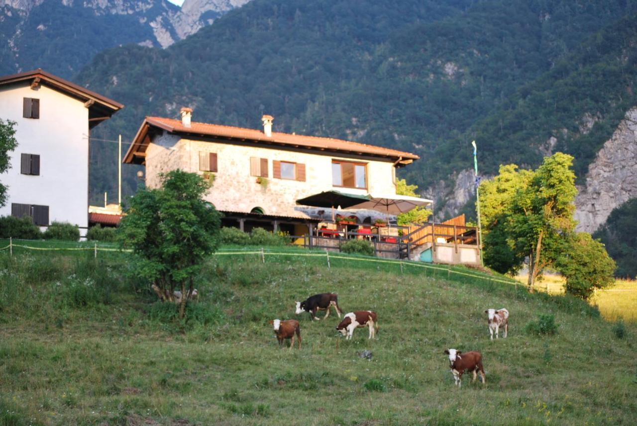 Rifugio Malga Grasia Caprizi エクステリア 写真