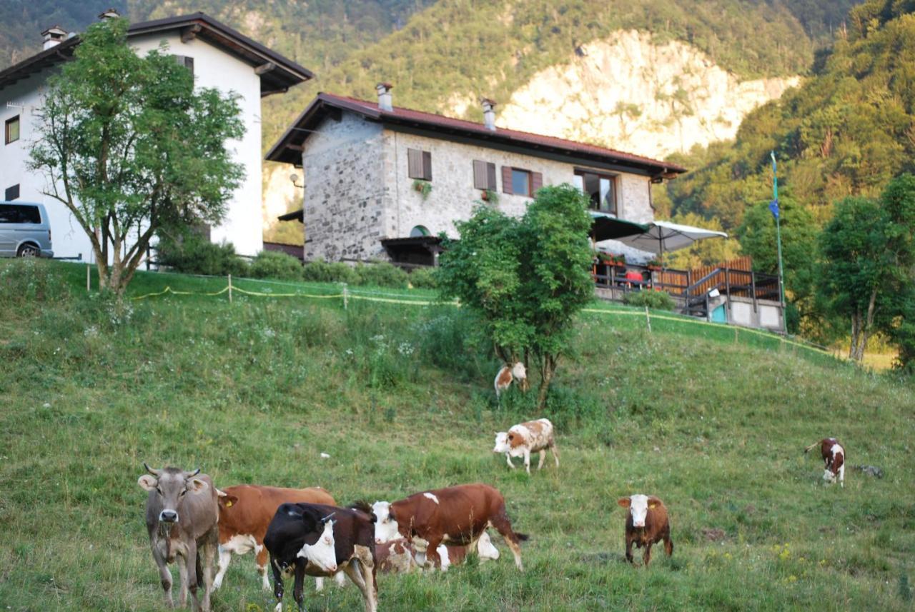 Rifugio Malga Grasia Caprizi エクステリア 写真