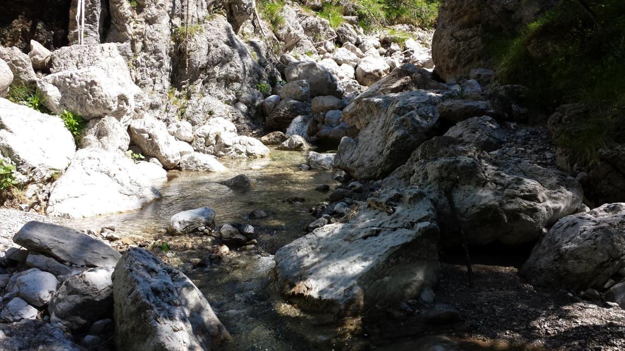 Rifugio Malga Grasia Caprizi エクステリア 写真